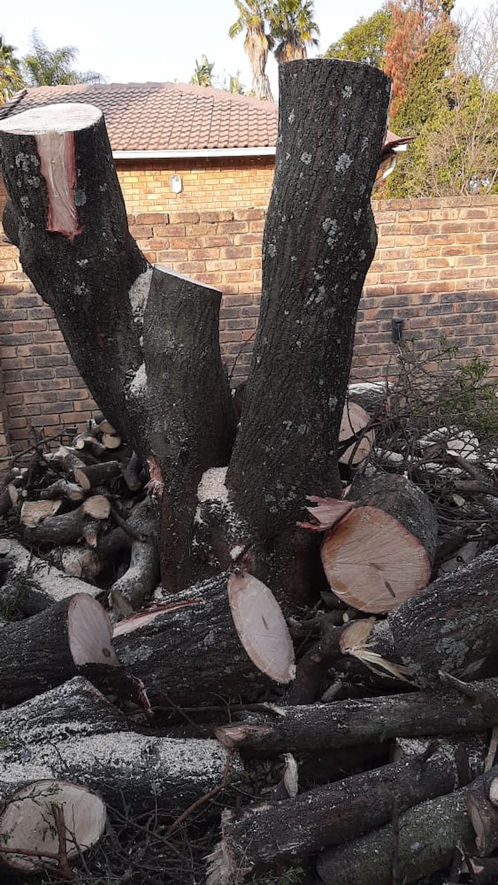 Stump Grinding and Removal